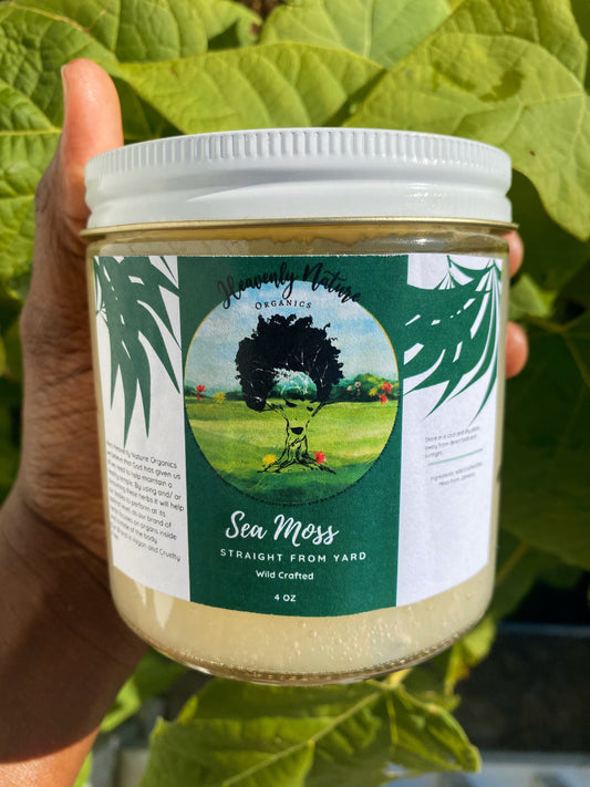 Sea Moss Gel (Wild Crafted )